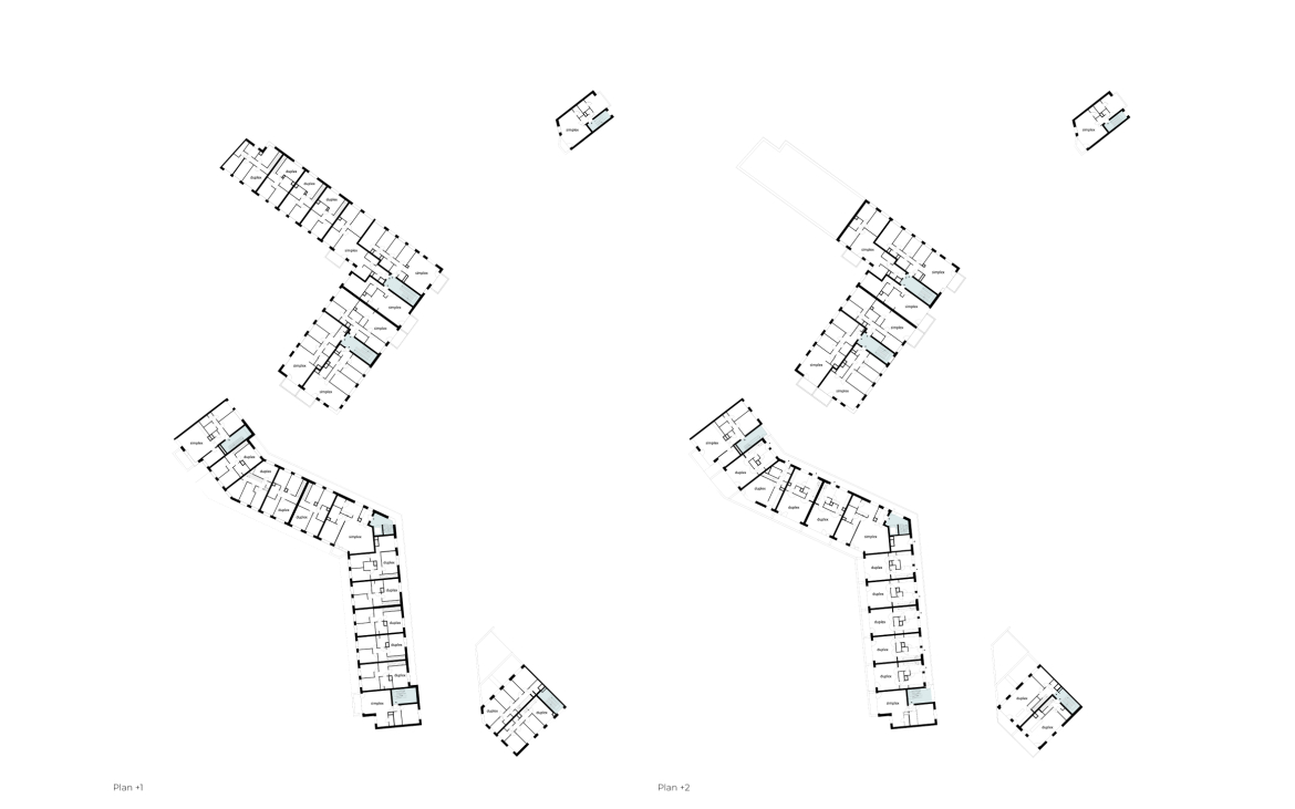 Intertwining urban ecology